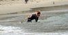 2004-07_DeanHiResRipCurl-083