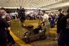 2011_CriminalMinds-12