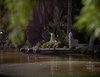 ORDINARYPEOPLE-LOISCLARK-ILE